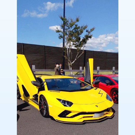 猫の愛くるしい仕草に癒されます