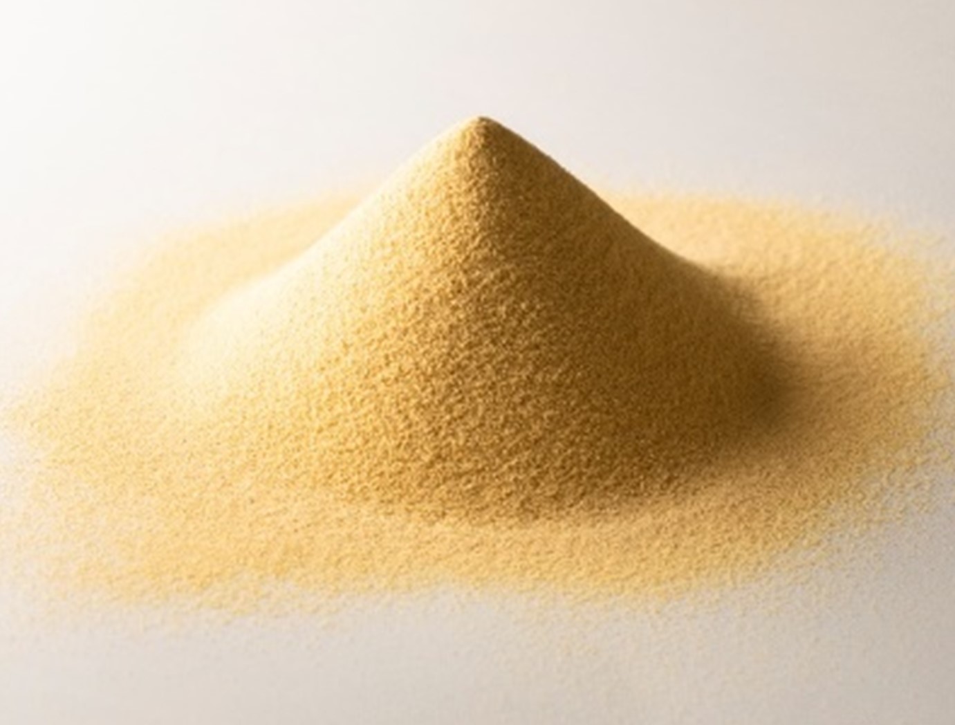 ���̃��[�O���i�̎ʐ^